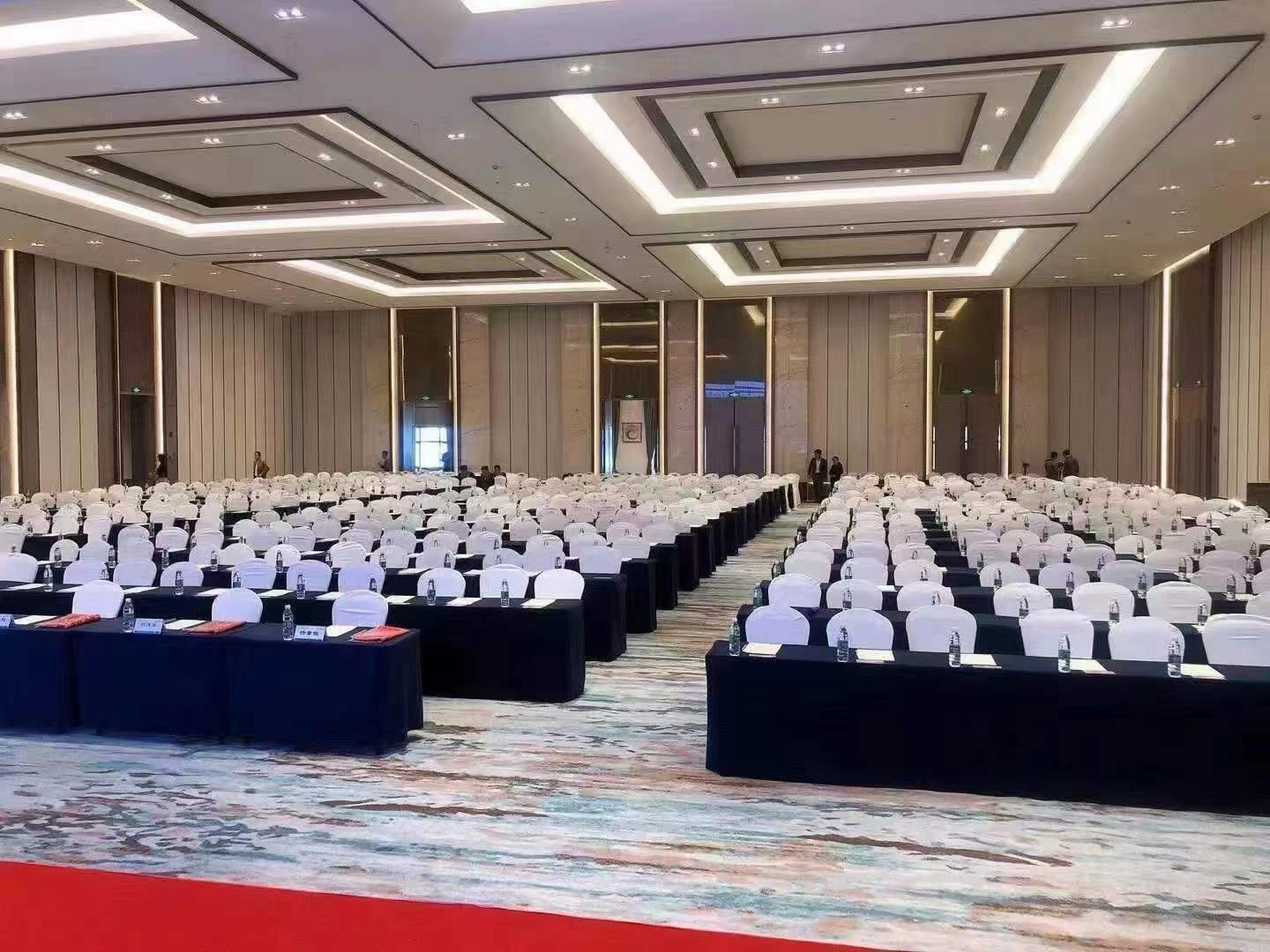 成都诺亚方舟酒店（诺亚8号）-北极厅会议室实拍照片